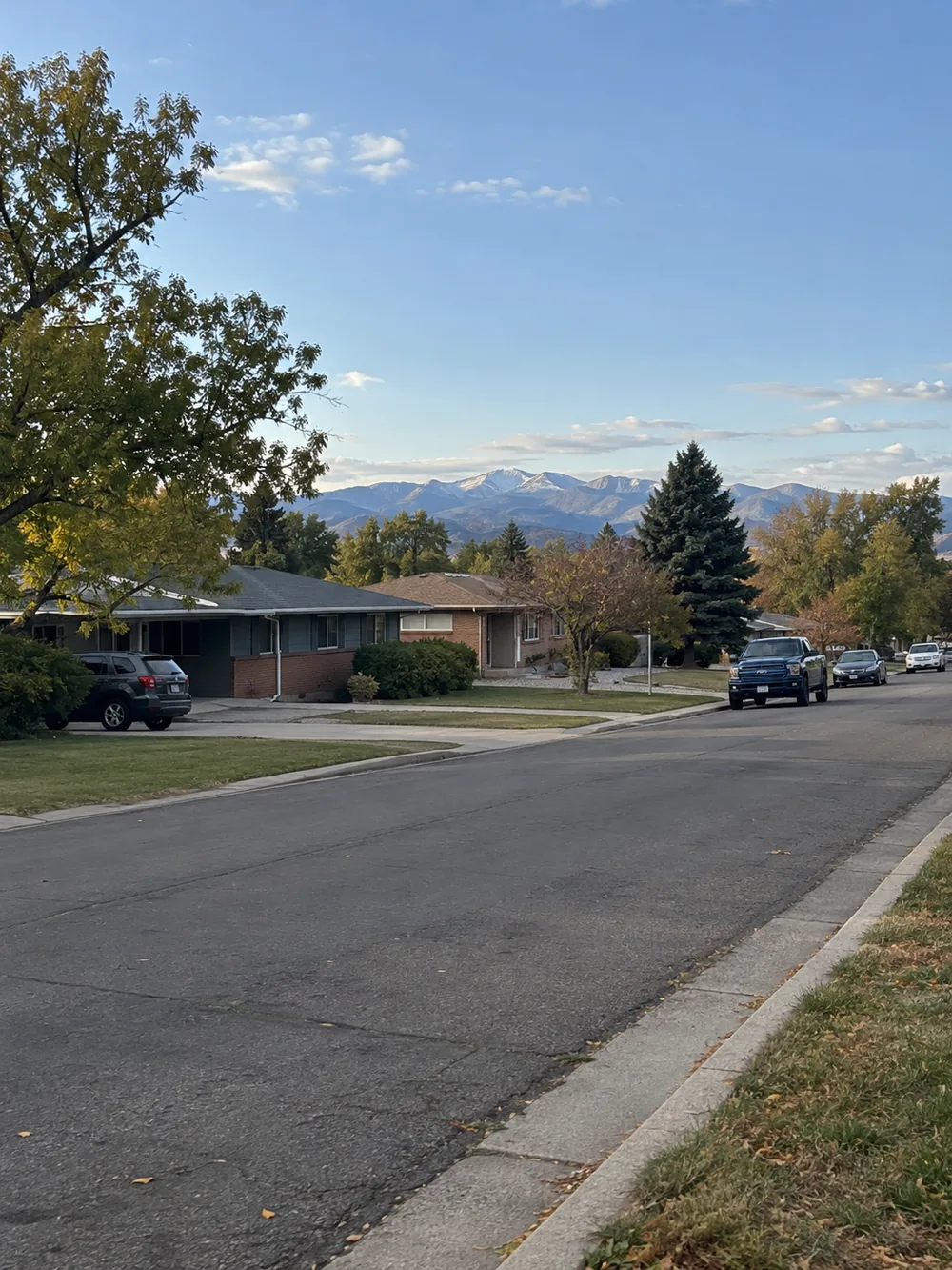 Mid-century ranch homes on a Lakewood street with the Front Range foothills behind